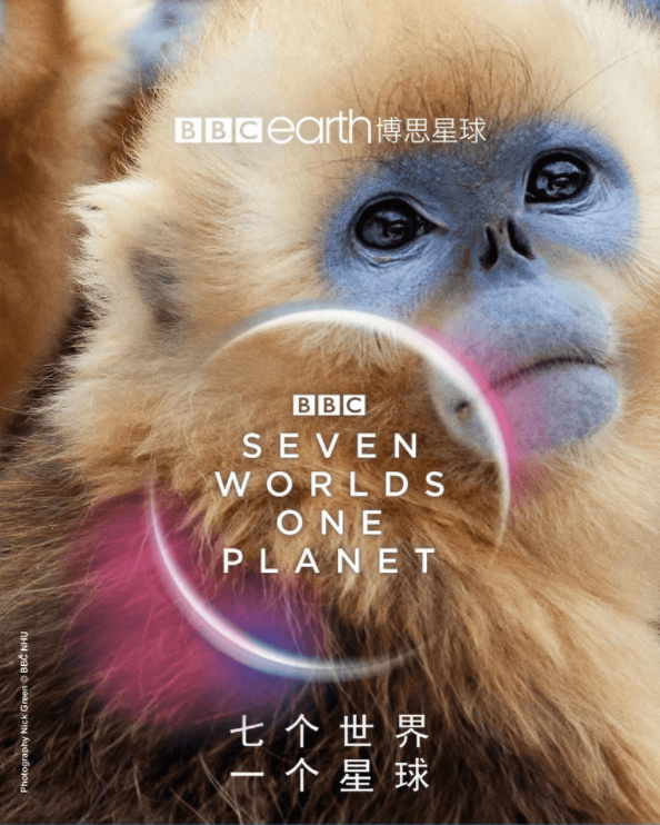 BBC紀錄片《七個世界一個星球》國語1080P全集下載
