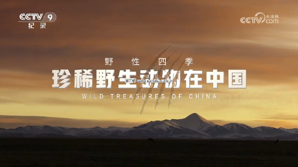 央視紀(jì)錄片《野性四季：珍稀野生動(dòng)物在中國(guó)》全5集百度網(wǎng)盤下載