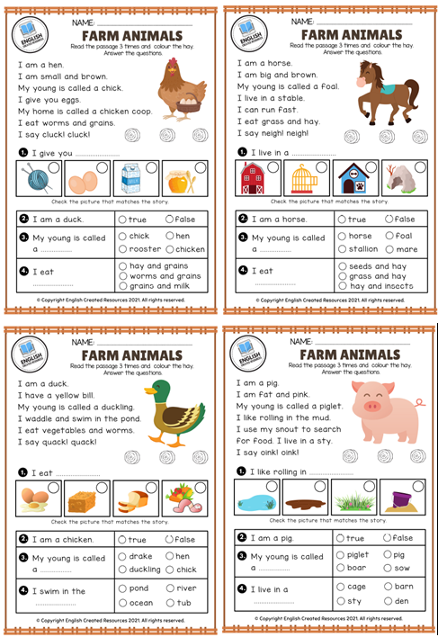 火爆小紅書的農場動物主題《Farm Animals》英語啟蒙