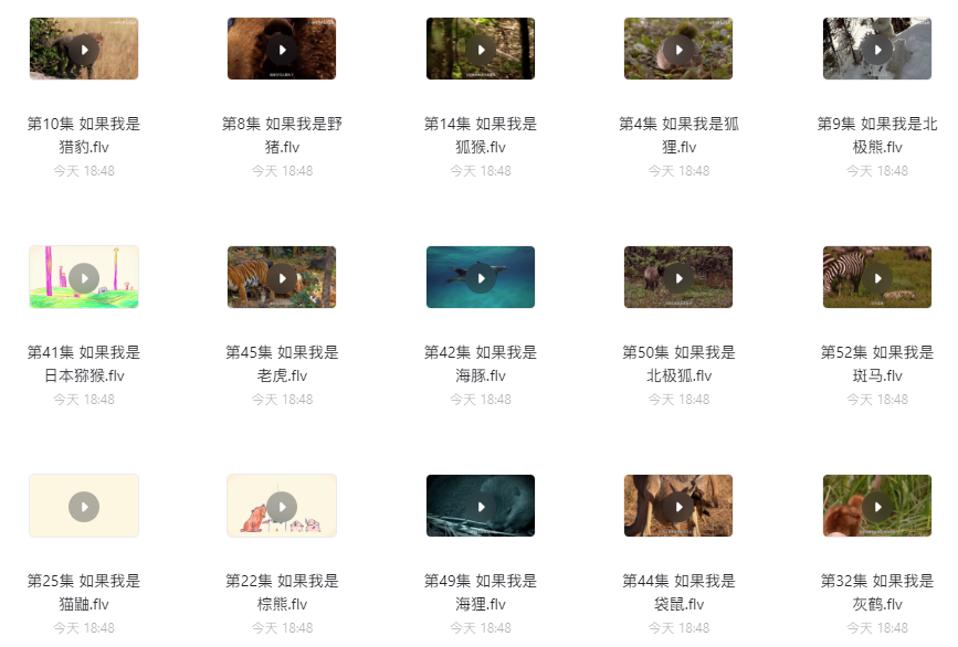 如果我是一只動物52集中英文全集網盤下載