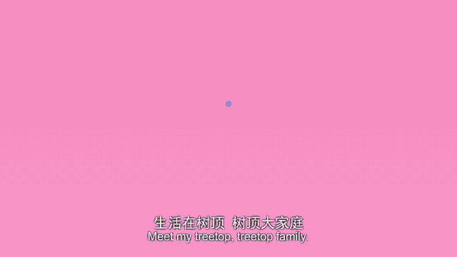 16集親子互動英語動畫《TreeTop Family》網盤下載