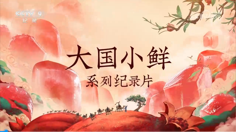 央視紀錄片《大國小鮮—石榴說》全集網盤下載