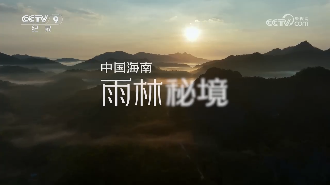 央視紀錄片《中國海南·雨林秘境》全集網盤下載