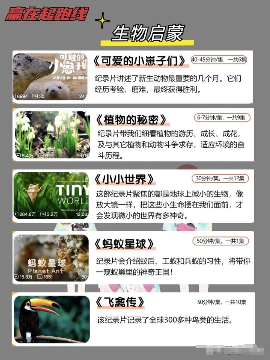 吐血整理45部幼小銜接必看紀(jì)錄片 輕松儲(chǔ)備小學(xué)知識(shí)