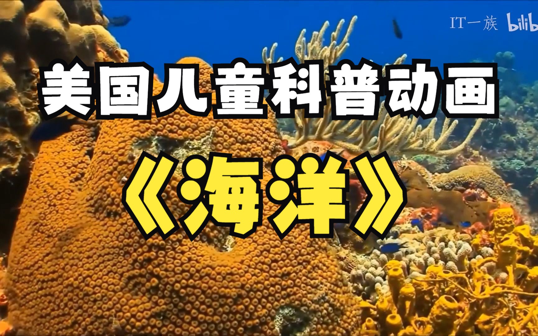 美國少兒科普動畫FreeSchool(中文配音版) 全集網盤下載